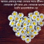 Happy valentine's day 2025 wishes bangla